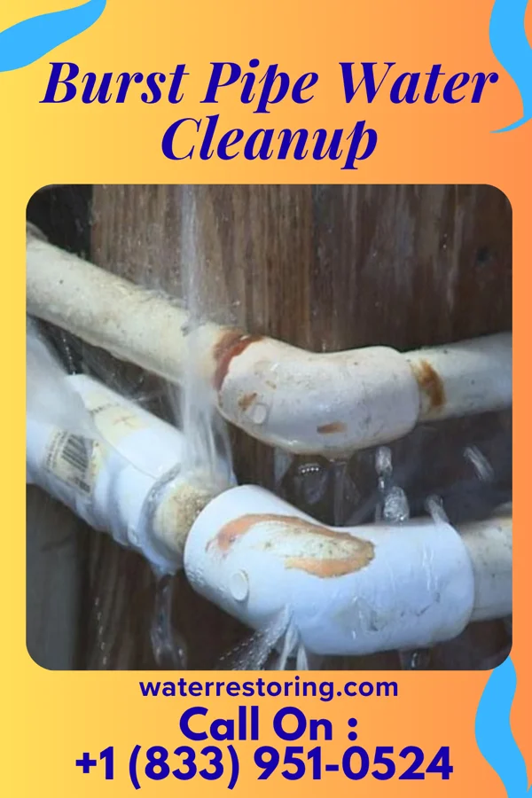 Burst Pipe Water Cleanup in Hyattsville, MD