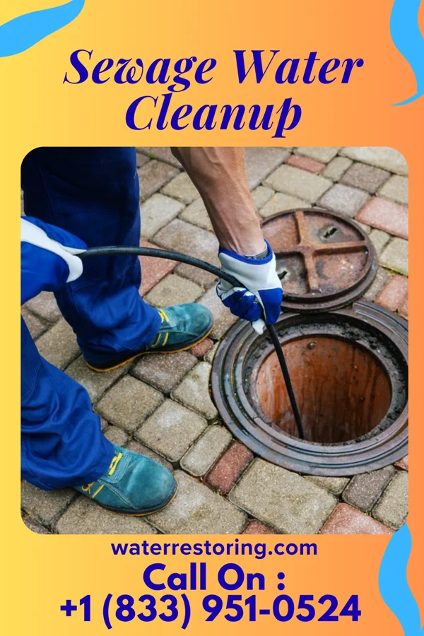 Sewage Water Cleanup in Hyattsville, MD